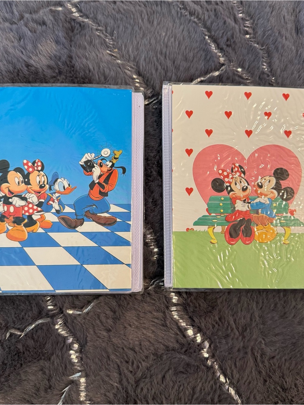 Disney Mickey & Minnie Twin Photo Albums‎ - Blue & Pink